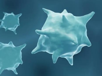 喜報 | 達博生物全資子公司泰禾生物“注射用重組改構(gòu)人腫瘤壞死因子”獲臨床試驗?zāi)驹S可